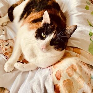 Meet your Posher, Mara & Louise